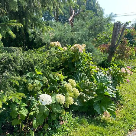 A Beautiful House Near Airport Krakow-balice Σπίτι διακοπών
